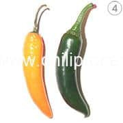 4 Serrano Pepper 4 Serrano Pepper
